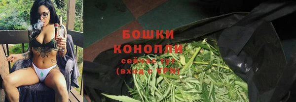 эйфоретик Баксан
